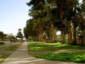 UCSB Eucalyptus Receives Grant for LGBTQ Hate Crime Prevention Training