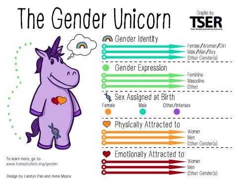 Purple gender unicorn with gender identity rainbow, gender expression green circle, sex assigned at birth dna strand, physically attracted to orange heart, and romantically attracted to red heart